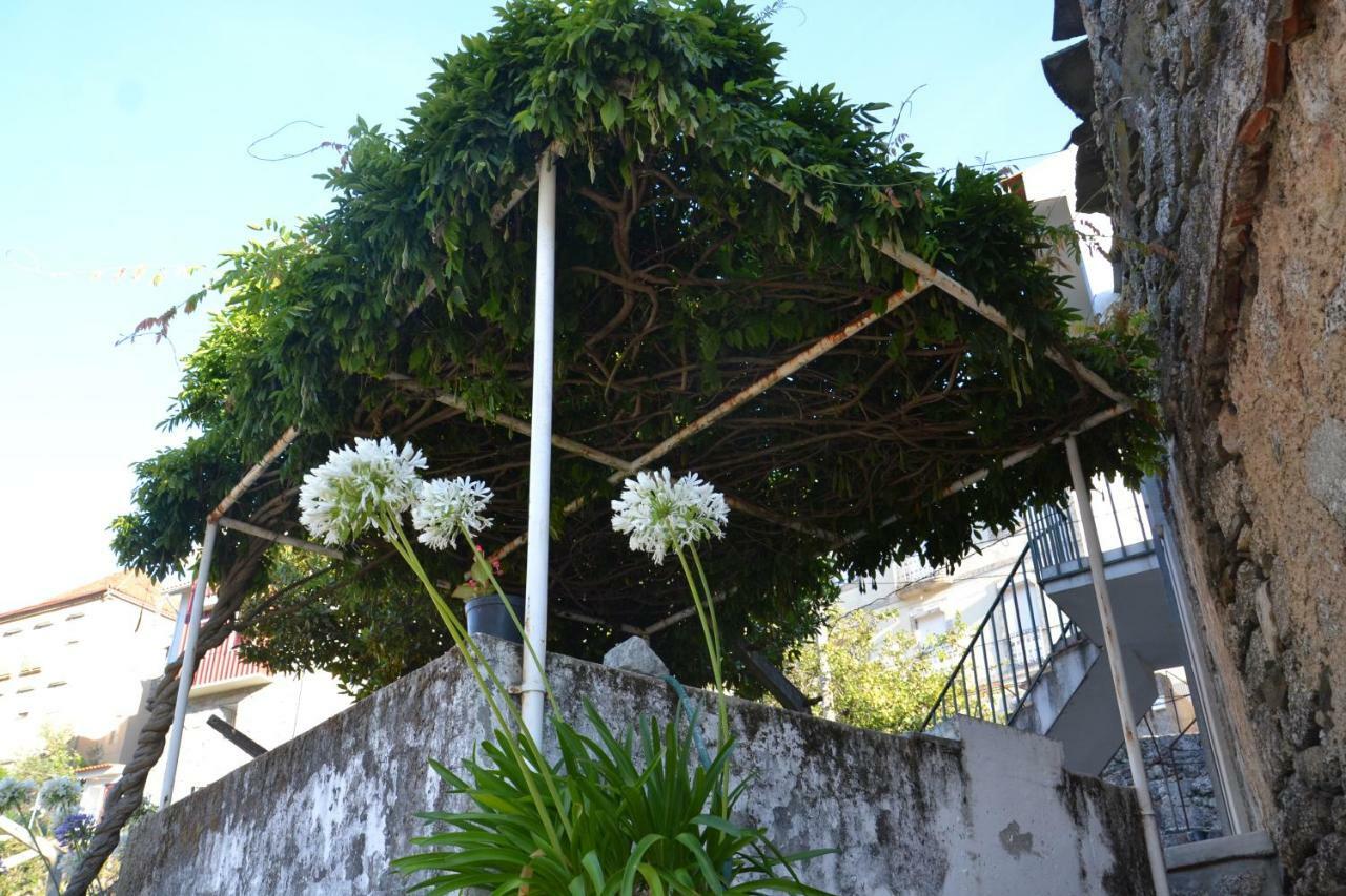 Casa Da Ponte Do Arrocho Vila Loriga Exterior foto